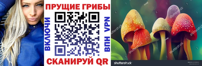 мега как войти Тотьма Псилоцибиновые грибы ЛСД сколько стоит